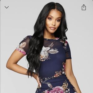 Secret Garden Party Mesh Dress NWT